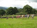 Herriot Run 2012 015 (Medium)